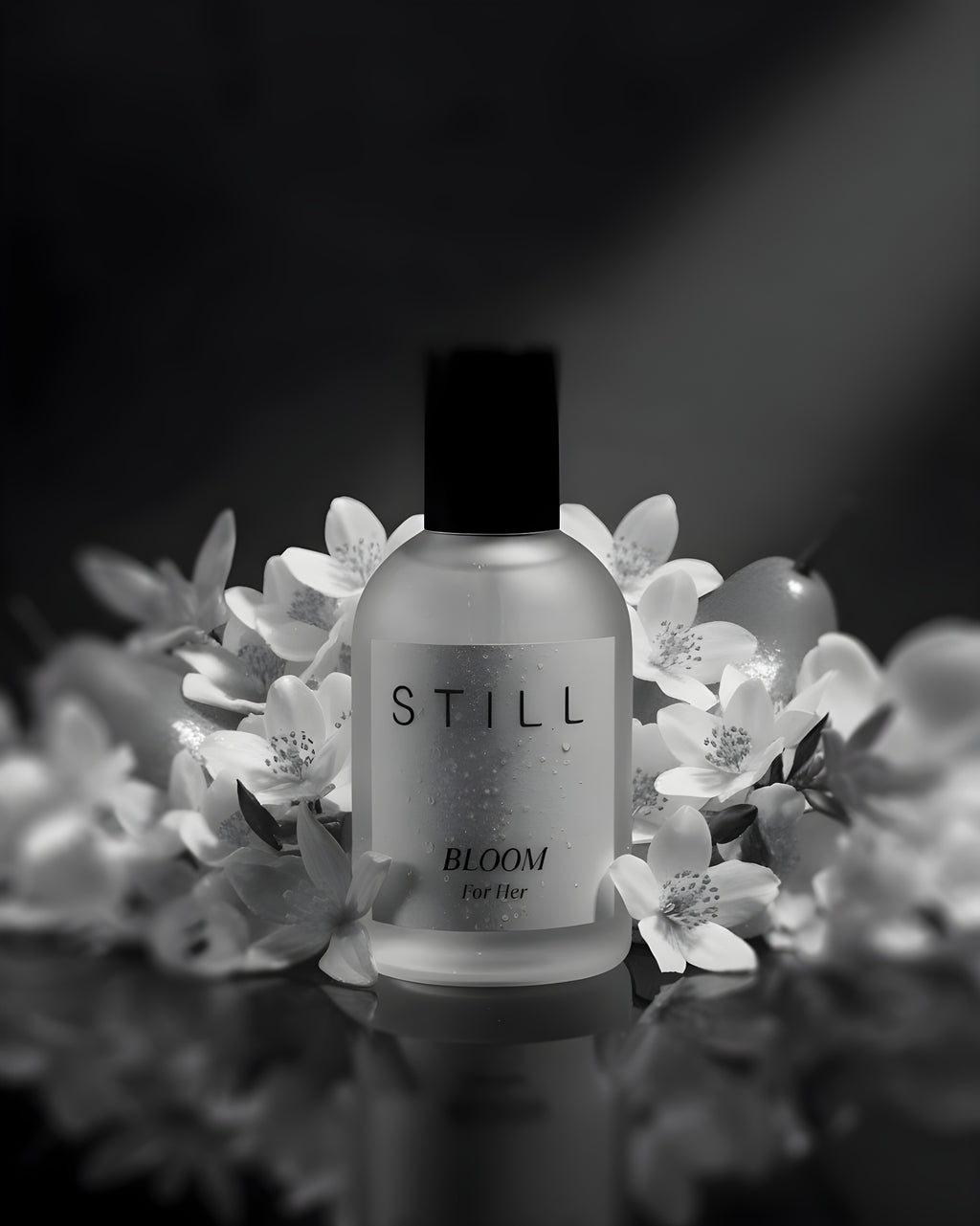 STILL BLOOM
